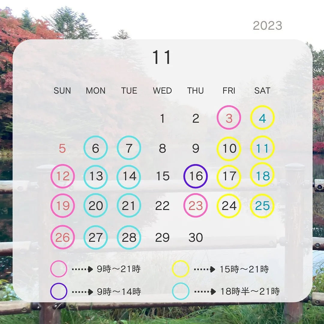 11月営業日時のご案内ᝰ✍︎꙳⋆