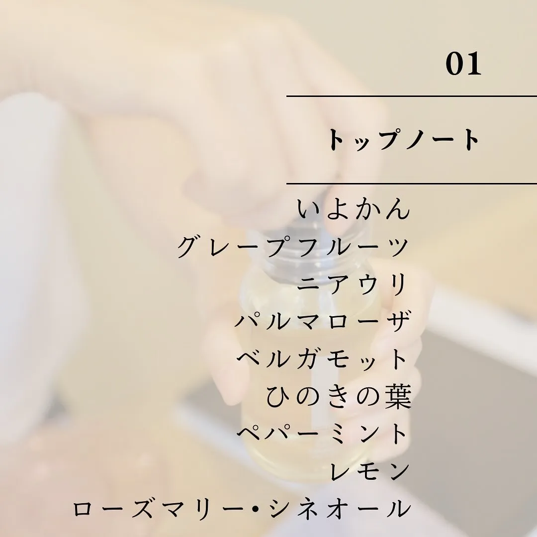 🌿2024/01〜サロンにある精油20種💐