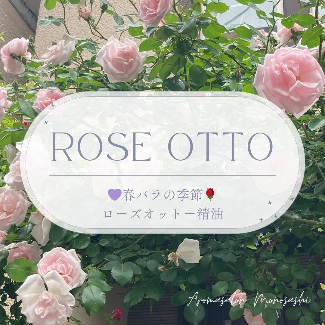 ダマスクローズを蒸留した精油が登場💜🌹