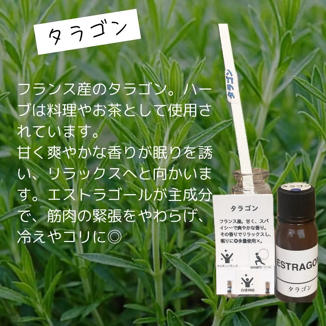 先週から加わっています！精油のご紹介です🐶