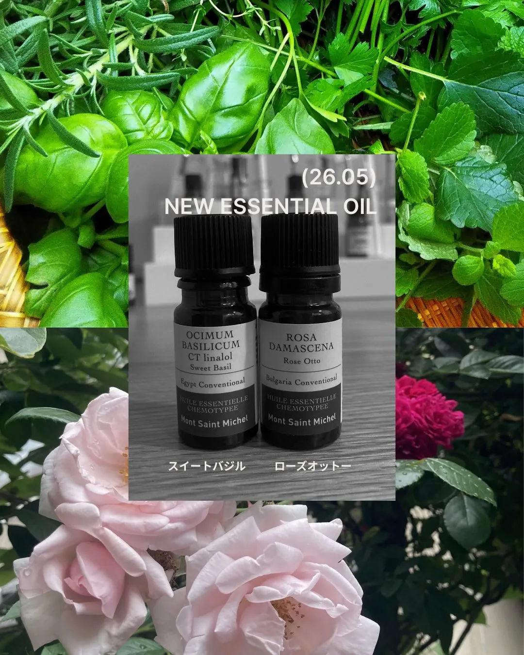 🌹ローズオットーとスイートバジルが入りました🌿
